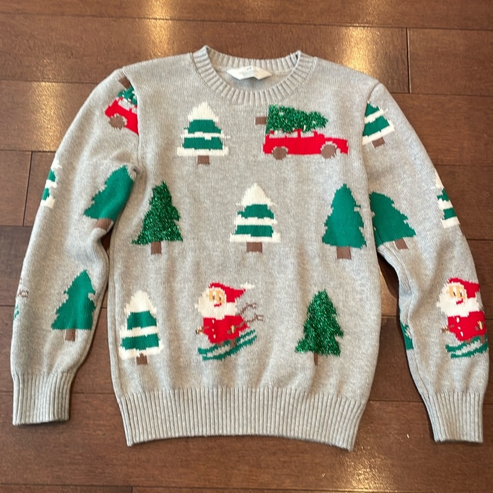 H&M Holiday Knit Sweater